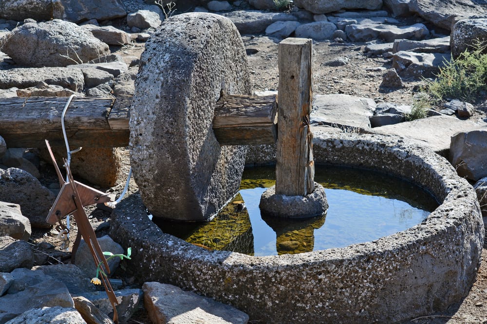 Wisdom From the Olive Tree: Bringer of the Messiah