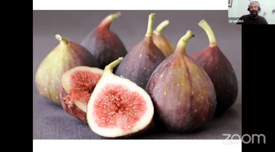 fig-tree-israel365-tour