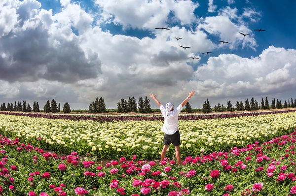 Focusing our attention on the Land of Israel brings us closer God