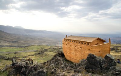The Portion of Noach (Genesis 6:9-11:32)