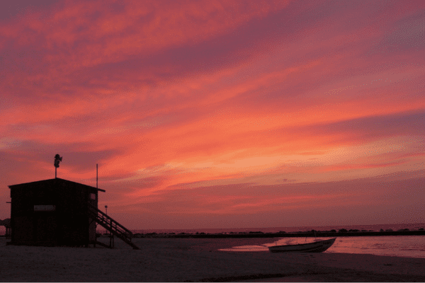 Alien Fire: What Exactly Was the Sin of Nadab and Abihu