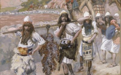 Shelach – Yehoshua’s Protection