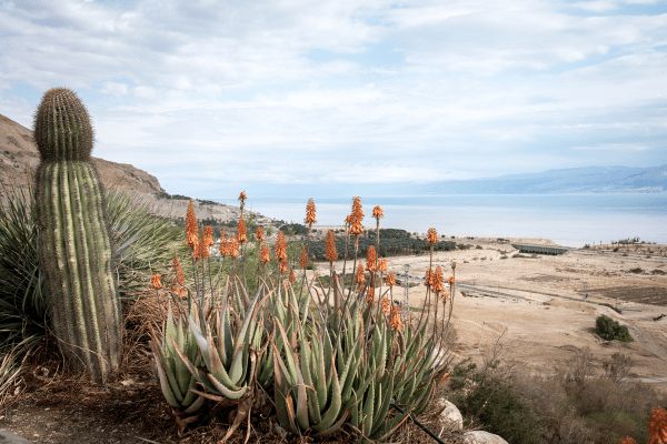 What is so bad about slandering a land?