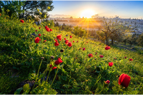 Beautiful sunburst over the Old City of Jerusalem (Shutterstock.com)