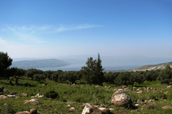 The Secret to Achieving Jewish Sovereignty in the Land