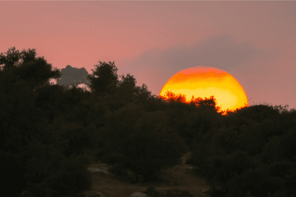 The Month of Cheshvan: Bitter or Exalted?