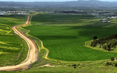 Psalm 23: Learning from the “Elim” Moments in our Lives