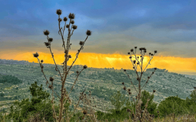 Why Do Enemies Unite Against Israel?
