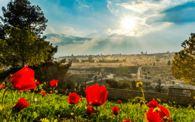 Judah or Joseph: Will the Real Hero Please Stand Up