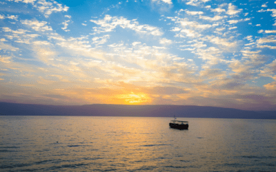 Psalm 24: The Purpose of Creation