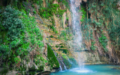 The Crown of Samaria