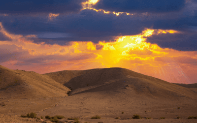 The Story of Faith: Shaken, Renewed and Transformed