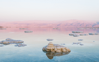 The Remarkable Women Behind Moses’ Success