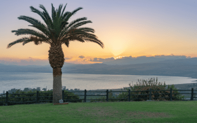 The Palm-Tree Prophetess