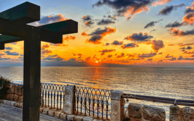 Repentance and Responsibility