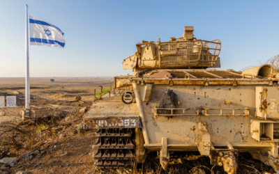 The Warrior Legacy of King David