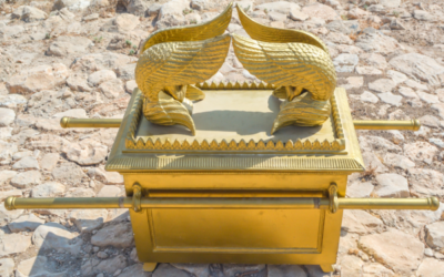 Cherubs: Our Interface with God