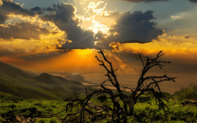 Celebrating Life – or Death?