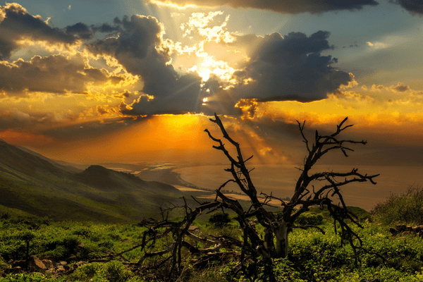 Celebrating Life – or Death?