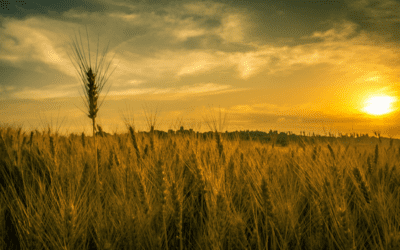 Choosing Kindness