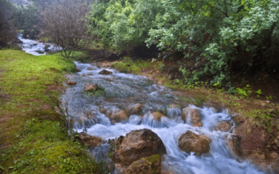 God’s Perpetual Love
