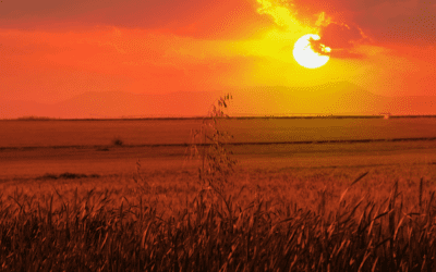 The Path to Loving God
