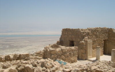 The Portion of Metzorah (Leviticus 14:1-15:33)