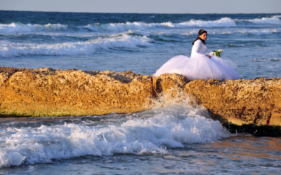Who Needs a Wedding Dress?