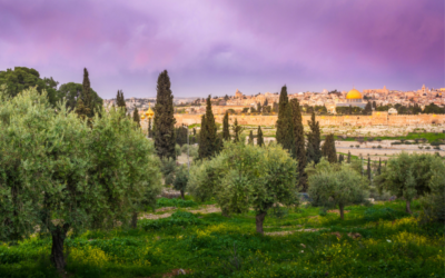 The Weight and Wisdom of Prophecy