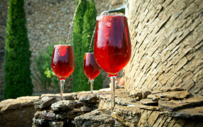 Shemini – Is wine good or bad?