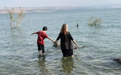 Torah from the Heart