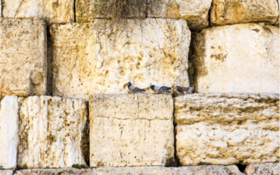 The Consequences of Cursing Israel