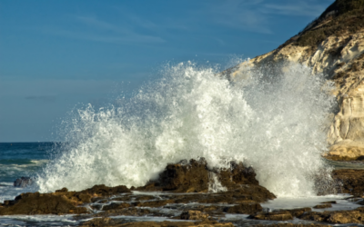 Bridging Humanity and the Divine