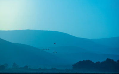 Divine Attendance: The Power of Being Seen
